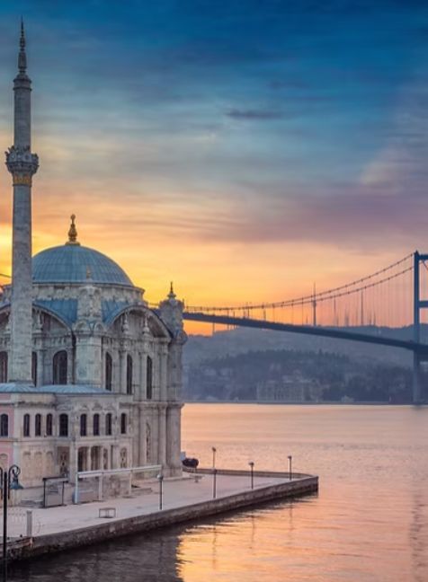 Insect Bite Treatment in Moda | Online Prescription | Ortakoy Mosque and the Bosphorus Bridge at sunset in Istanbul | E-rx.online