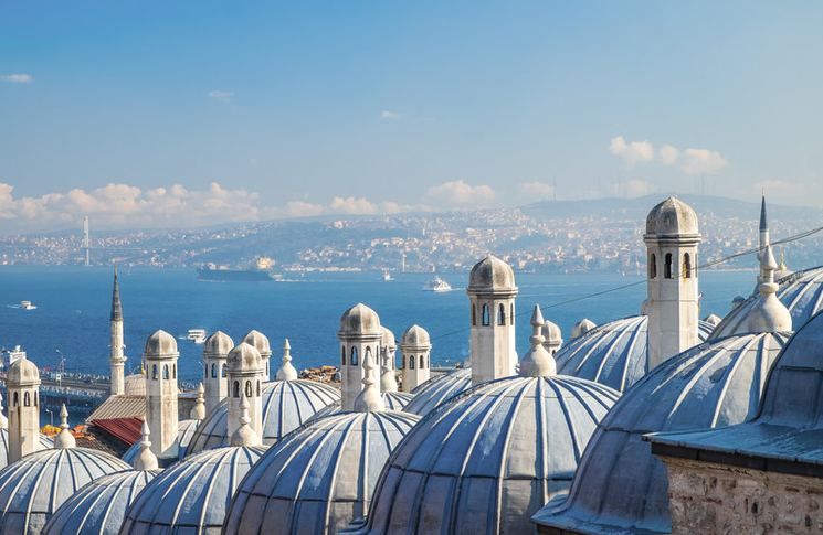 Insect Bite Treatment in Beyoglu | Online Prescription | Domes of the Suleymaniye Mosque with a view of the Bosphorus in Istanbul | E-rx.online